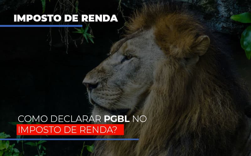 Ir2020:como Declarar Pgbl No Imposto De Renda - Escritório de Contabilidade em Osasco - SP |  Apoio Prime