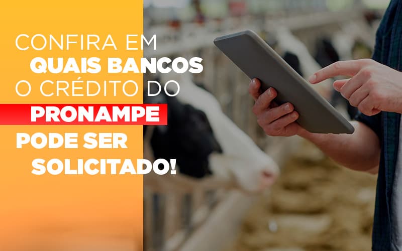 Confira Em Quais Bancos O Credito Pronampe Ja Pode Ser Solicitado - Escritório de Contabilidade em Osasco - SP |  Apoio Prime